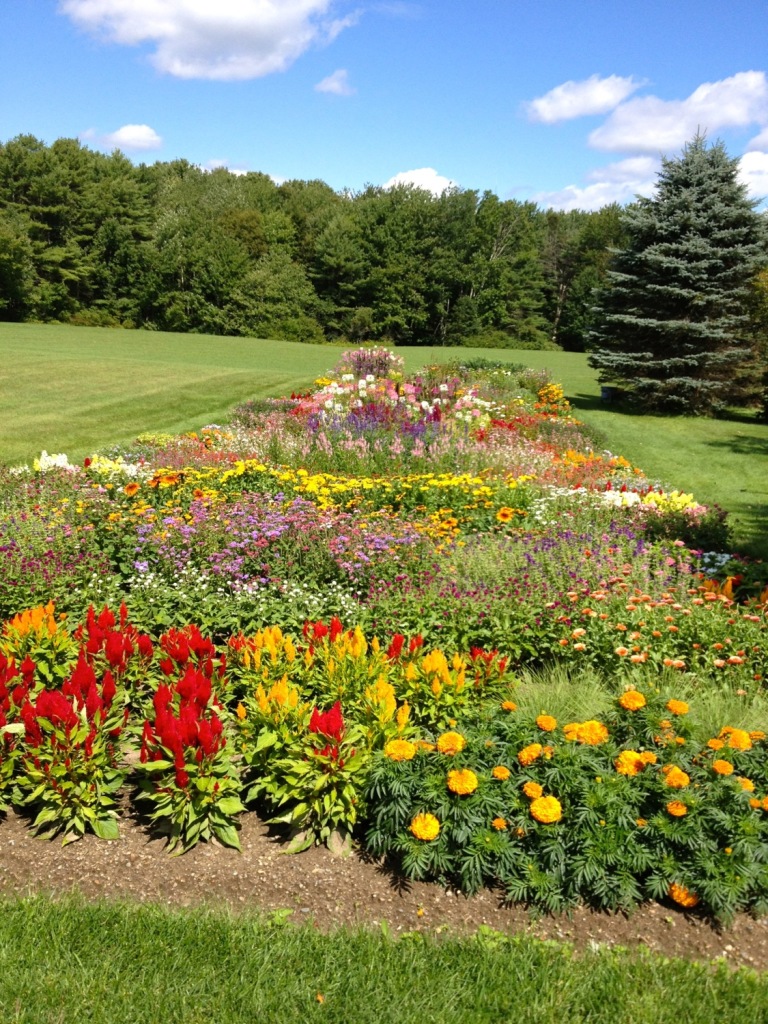 An absolutely unblemished cutting garden outside Brunswick, Maine